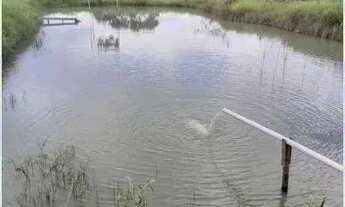 Imagem 5: Chácara à Venda em Piracanjuba - GO