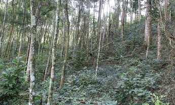 Imagem 3: Vende se - Sitio