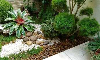 Imagem 4: Casa simples com quintal