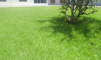 Imagem 5: Excelente casa e apartamentos em Torres com ar condicionado