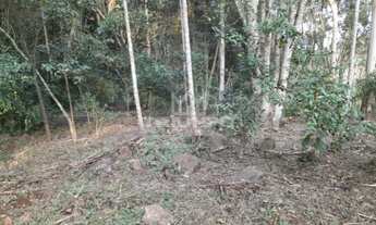 Imagem 4: SÍTIO com 2 hectares