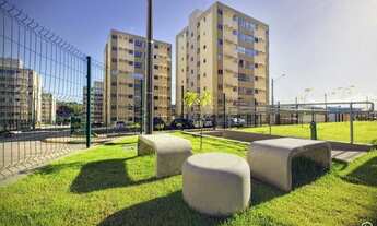 Imagem 6: São Lourenço da Mata - Apartamento - Muribara