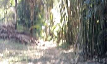 Imagem 6: Excelente Terreno de 16.000m² no Parque Portal do Paraiso em Jundiaí-SP