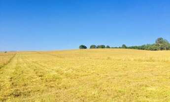 Imagem 5: Terreno Rural 798.600,00m² São Luiz do Purunã