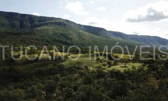 Imagem 2: Fazenda a venda Formosa - Go "grande oportunidade&quot