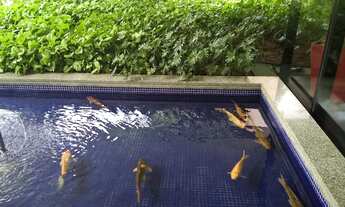 Imagem 4: Espaço corporativo São Paulo