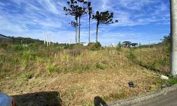 Imagem 5: CAXIAS DO SUL - Terreno Padrão - Jardim das Hortências