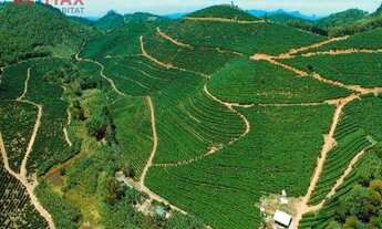 Imagem 5: Fazenda à venda, 1306800 m², em Espera Feliz - MG