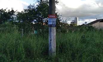 Imagem 6: PRAIA DO QUILOMBO - PENHA - REGIÃO NOBRE