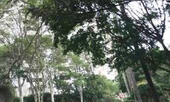 Imagem 7: São Paulo - Apartamento Padrão - Real Parque