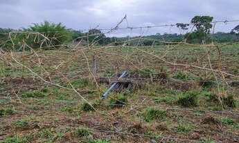 Imagem 3: Espetacular chácara com casa sede piscina curral água 2 alqueires 1500m estrada de chão