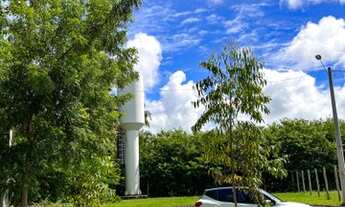 Imagem 4: Lote - Maragogi AL - Praia de Peroba