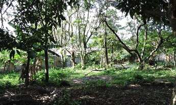 Imagem 4: FLORIANóPOLIS - Terreno Padrão - Rio Tavares