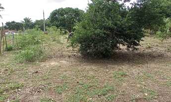 Imagem 2: TERRENO MEDINDO 15/50