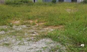 Imagem 4: Terrenos Comerciais à venda em Mairiporã/SP - Compre o seu terrenos comerciais aqui!