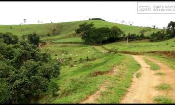 Imagem 2: FAZENDA BAIXA/MEDIA - LEITE/CORTE  FRENTE AO ASFALTO  SILVEIRAS - SP