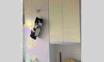 Imagem 5: Apartamento Residencial à venda, Parque Industrial, São José dos Campos - AP6424