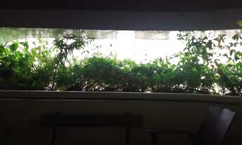 Imagem 2: Apartamento à venda com 04 (quatro) quartos em Tamarineira, Recife-PE. Edf. Resedá