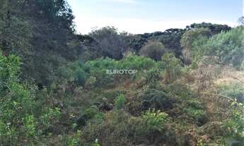 Imagem 4: Terreno a venda no Santo Antão!