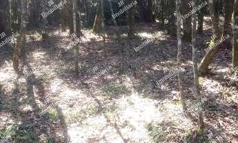 Imagem: Excelente Chácara Sem Benfeitorias