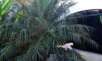 Imagem 5: Casa residencial à venda, Central Parque Sorocaba, Sorocaba