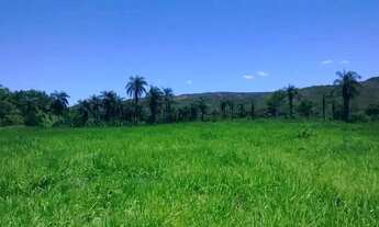 Imagem: Fazenda para Venda em Senador Modestino