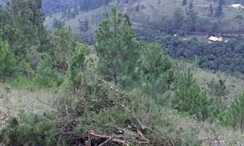 Imagem 4: Nova Lima - Loteamento/Condomínio - São Sebastião Das Águas Claras