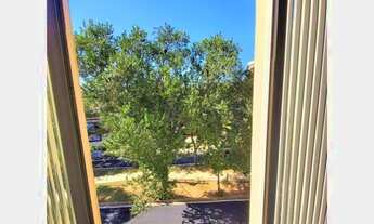 Imagem: Apartamento Residencial à venda, Vila Betânia