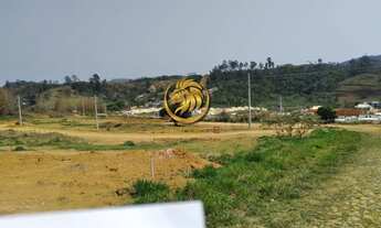 Imagem 2: Terreno para Venda em Juiz de Fora, grama