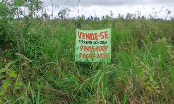 Imagem 6: Terreno em salgado Se