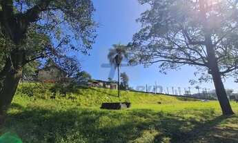 Imagem 16: SAO PAULO - Terreno Padrão - Colônia (Zona Leste