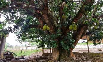 Imagem 2: Próximo a Taguatinga localização privilegiada 1500m de chão chácara 2 alqueires escritura