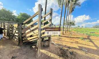 Imagem 4: Fazenda Premium 9.3 Alqueires ! Na Beira do Rio dos Bois - Varjão - GO !