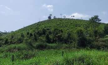 Imagem: Sítio 14 Alqueires 12 Alqueires aberto