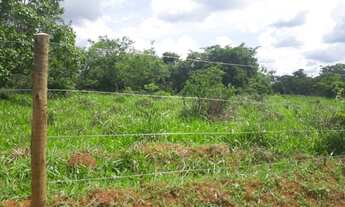 Imagem 6: FAZENDINHAS planinhas e com a frente cercada