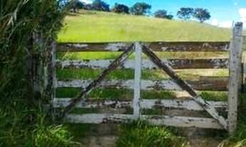 Imagem 5: Sítio em Edilandia GO