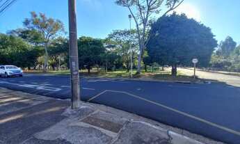 Imagem 4: Avenida Jose Munia