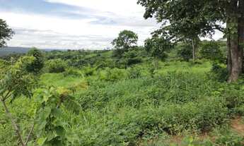 Imagem 7: Fazendinha 85 Hectares!!!!!Otima Estrutura!!!