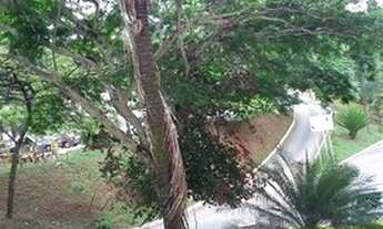 Imagem 2: Apartamento com 2 dormitórios à venda em Belo Horizonte