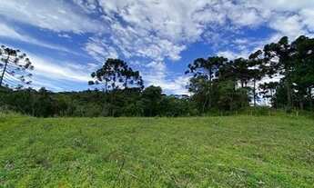 Imagem 4: IMÓVEL RURAL A VENDA - 2.0 HECTARES