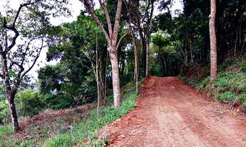 Imagem 6: A VENDA LOTE DE 1000M² PARA CHÁCARA EM PIRACAIA
