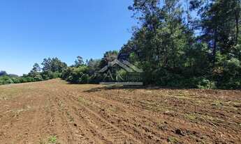 Imagem 4: Linda área com vista em topo de morro em Nova Petrópolis-RS