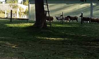 Imagem 5: Oportunidade Rancho / Aras