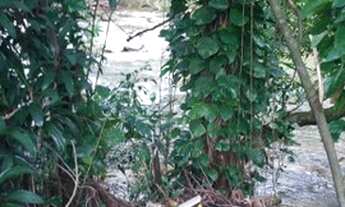 Imagem 7: Macaé - Casa Padrão - Glicério