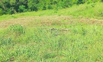 Imagem: ÚLTIMO SÍTIO COM ESCRITURA E PARCELAMENTO