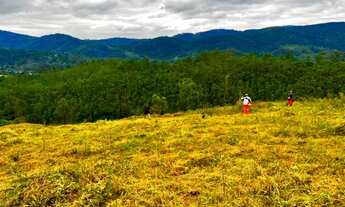 Imagem 5: Lote/Terreno para venda possui 1000 metros quadrados em Barreiro - Mairiporã - SP