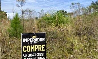 Imagem 2: CAXIAS DO SUL - Terreno Padrão - Jardim das Hortências