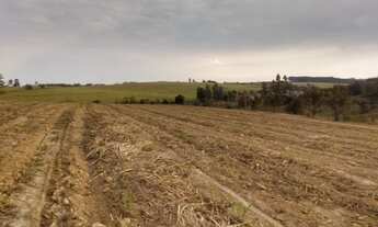 Imagem 5: Sitio com 7,6 alqieires, muito rico em agua 7 açudes, nascente, 4 alqueires em lavoura