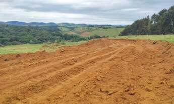 Imagem 6: Lote/Terreno para venda com 1000 metros quadrados em Parque São Luís - São Paulo - SP