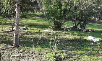 Imagem: Vendo lindo sitio completo